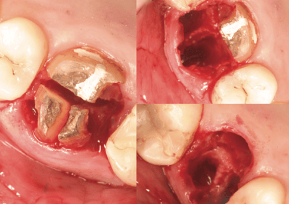 fig2-2 copy fig2-2 copy